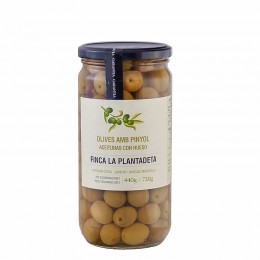 Olives Manzanilla Plantadeta 500gr